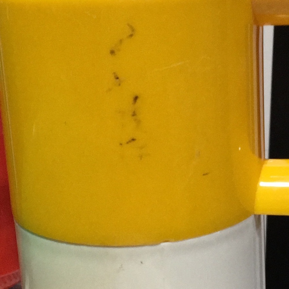 10 Piece Vintage Ingrid Picnic Set Stackable Snack Plates/Cups For RV/Pool/Boat - Picture 4 of 13